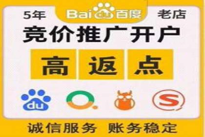 专业SEM托管：成功提升广告效果的案例分析
